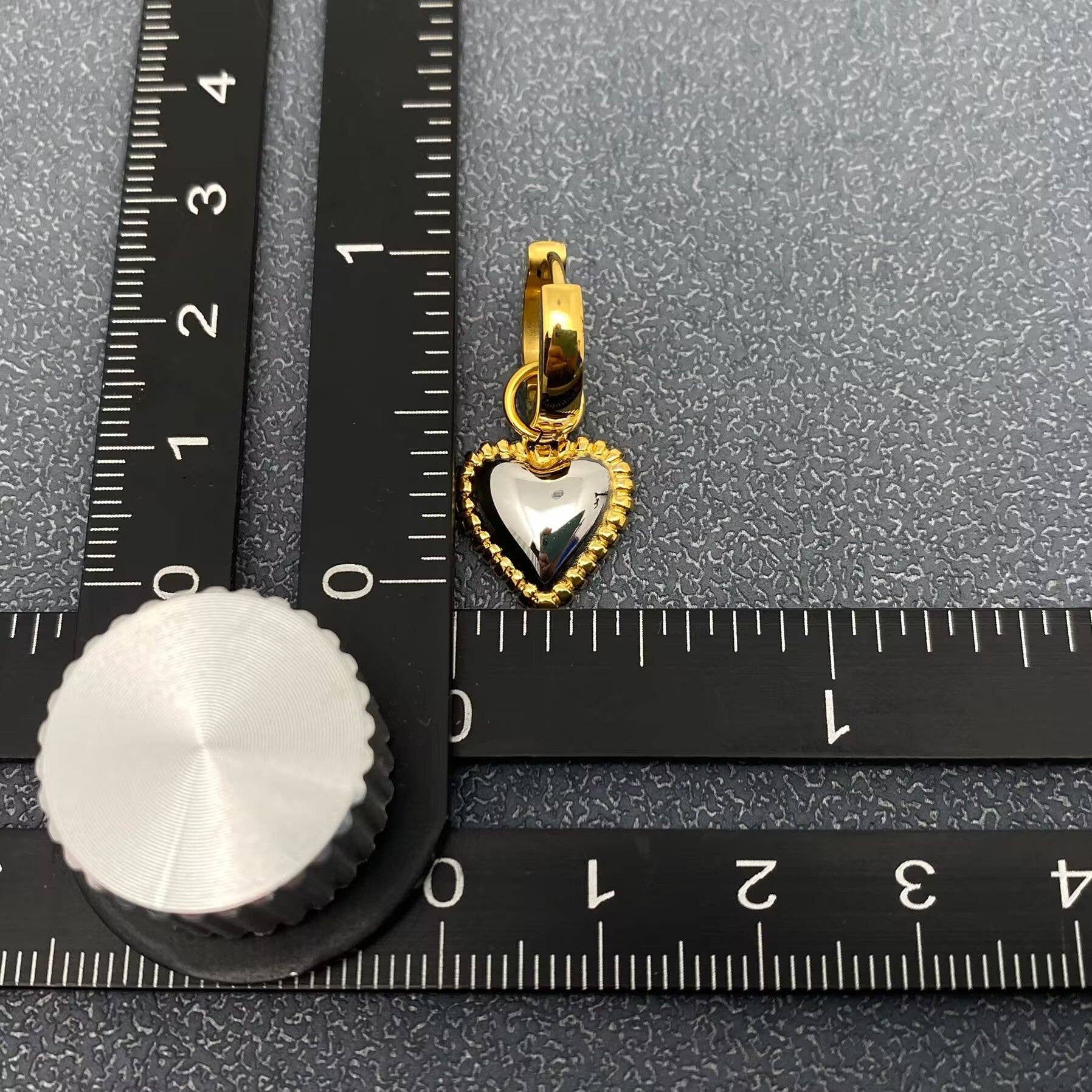 Sabrina Two Tone Earrings